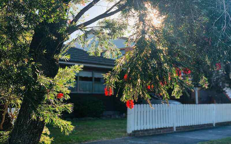 Sydney, Hobart 'unaffordable' for almost half of first home buyers