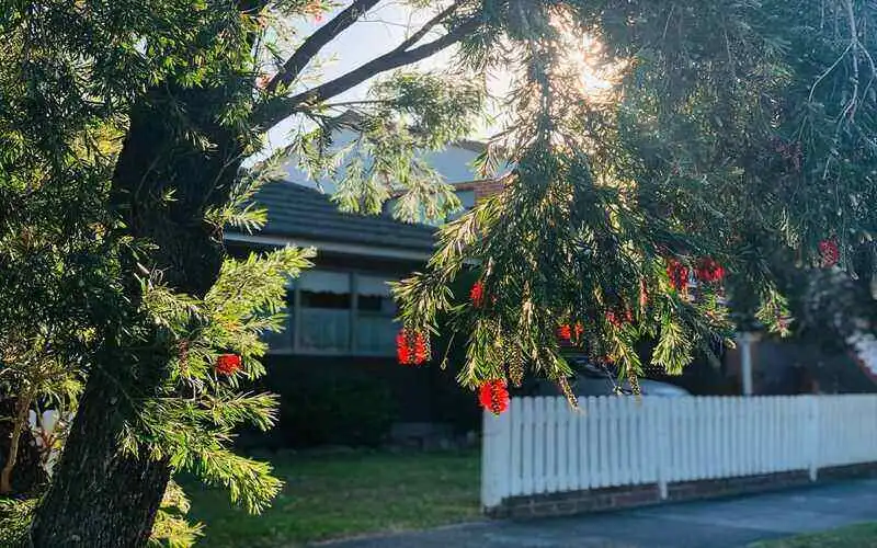 Sydney, Hobart 'unaffordable' for almost half of first home buyers