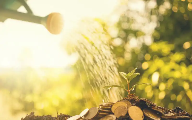 Popular savings app Moneytree launches new budgeting tool