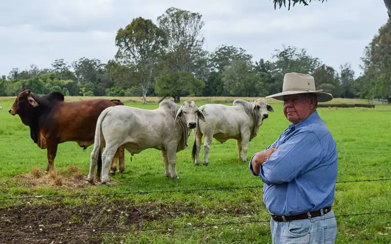 Farmer finance grows, SME loans scheme extended