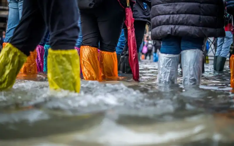 Westpac to offer $3,000 emergency grants for flood victims