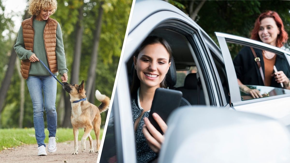 How to make money through the sharing economy