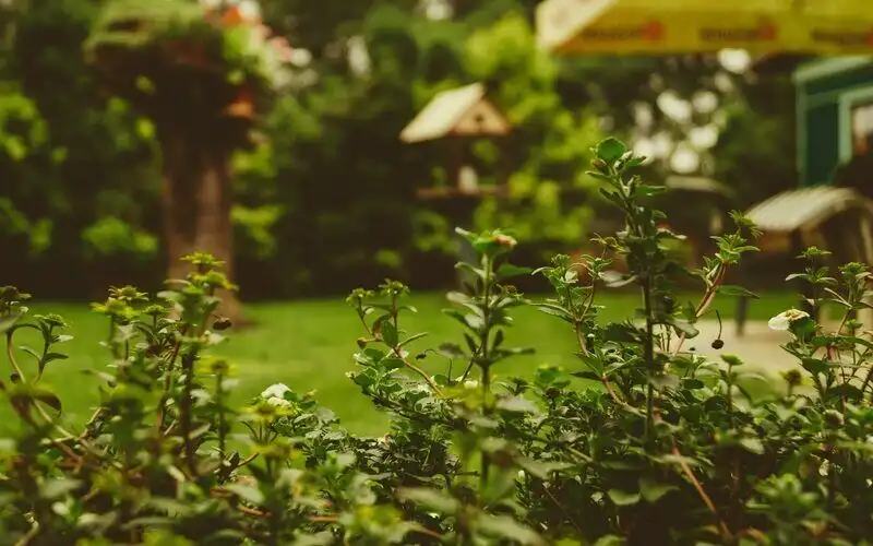 Yard: The online lender measuring up to the big banks
