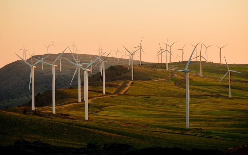 It ain't easy being green: Bloom investing app winds-up