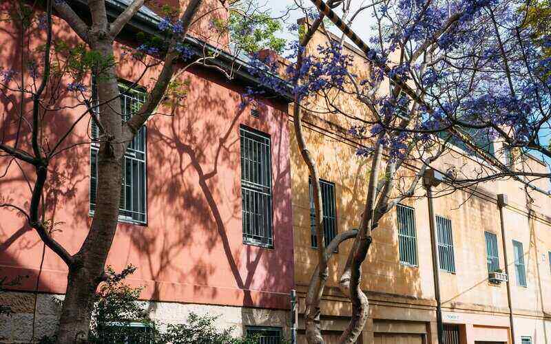 Home auction prices soar to record highs with further growth expected