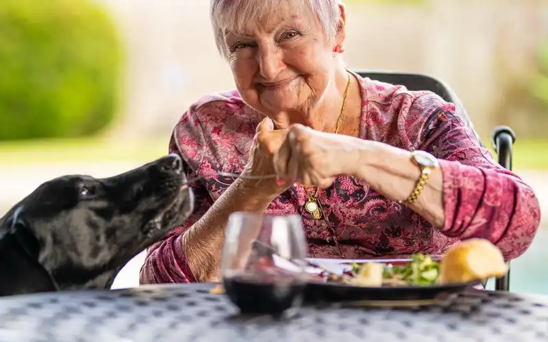 What’s in the 2023 Federal Budget for pensioners?