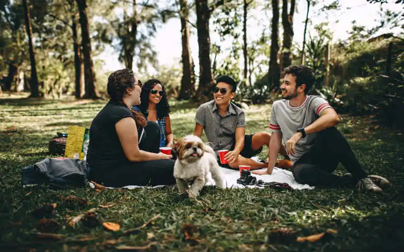 Young Australians blindly optimistic they’ll own a home