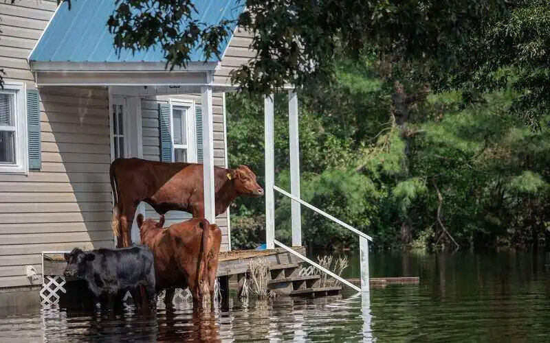 How small businesses impacted by floods can claim disaster payments