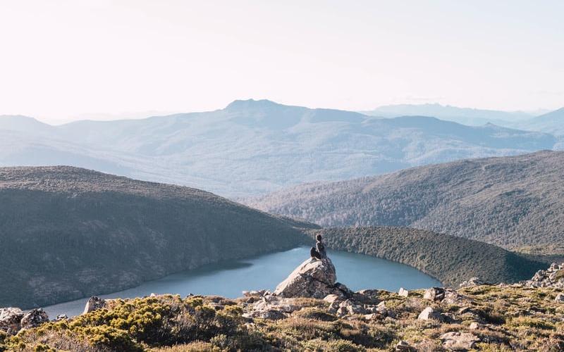Is Tasmania the apple of Australia's eye?