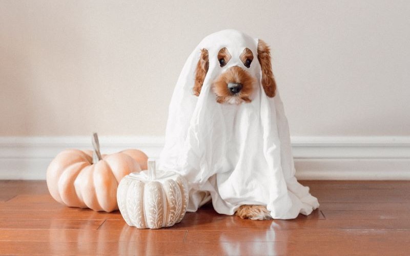 The ATO's spooky tax deadline is looming - here's what to do