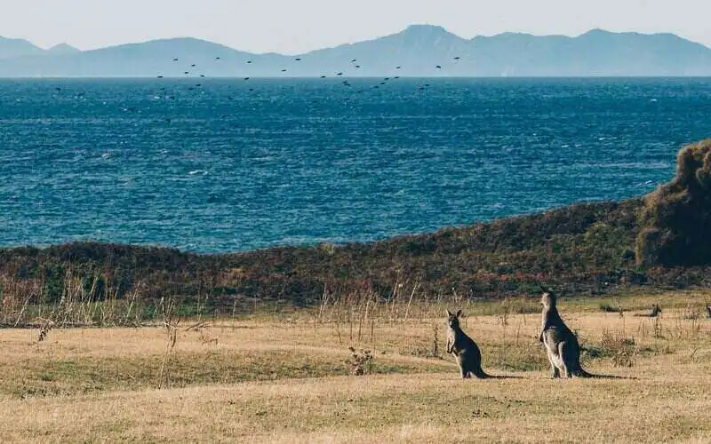 Supply the biggest issue in Tasmania's housing market