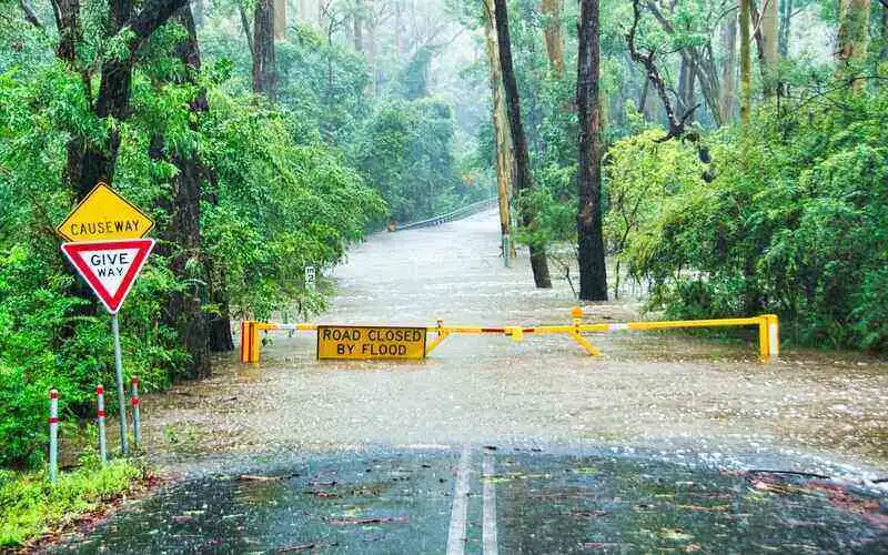 Insurance Council declares NSW a 'catastrophe' following 5,000 claims already