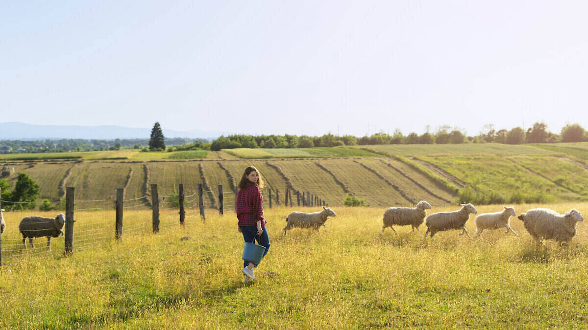 Rabobank Australia: Nurturing agriculture though high-yield savings products