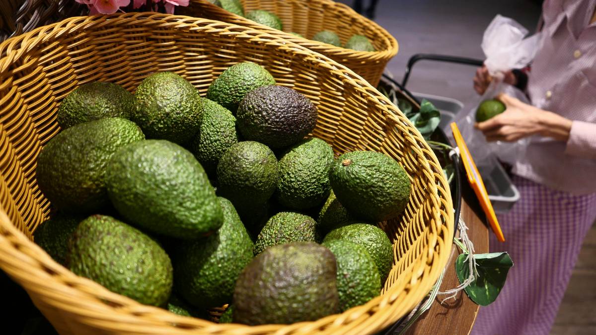 Inflation holds steady in January