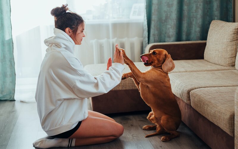 Could home buyers use super as collateral to secure a home loan?