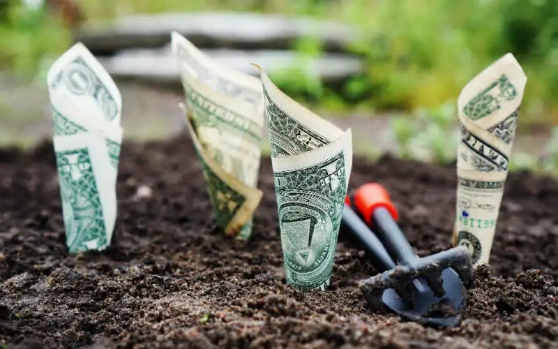 How to grow your savings with compound interest