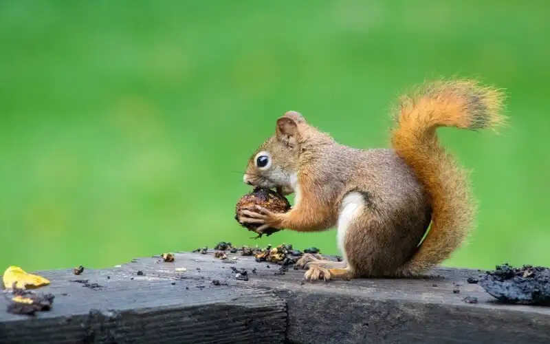 Australians opting to squirrel away tax cuts instead of topping up super