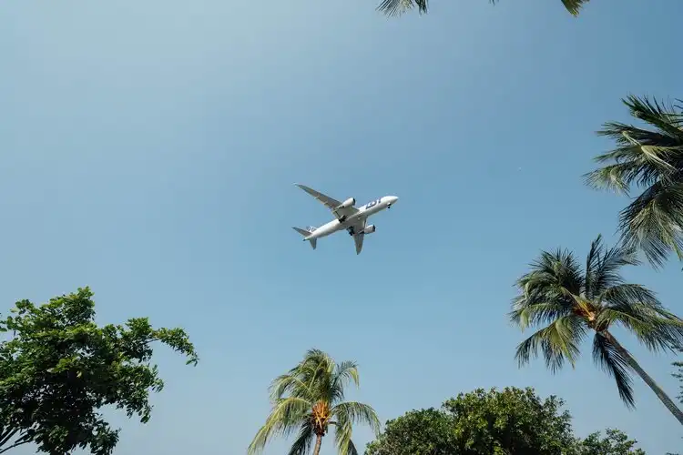 Qantas and Jetstar resuming Bali and New Zealand flights