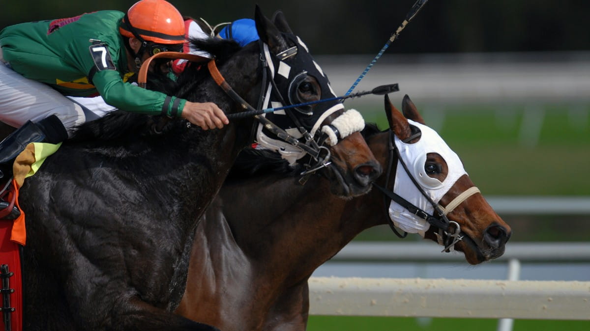 Unbackable odds for RBA Cup Day rate hold