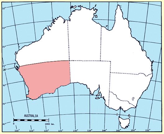 WA 26th parallel.jpg