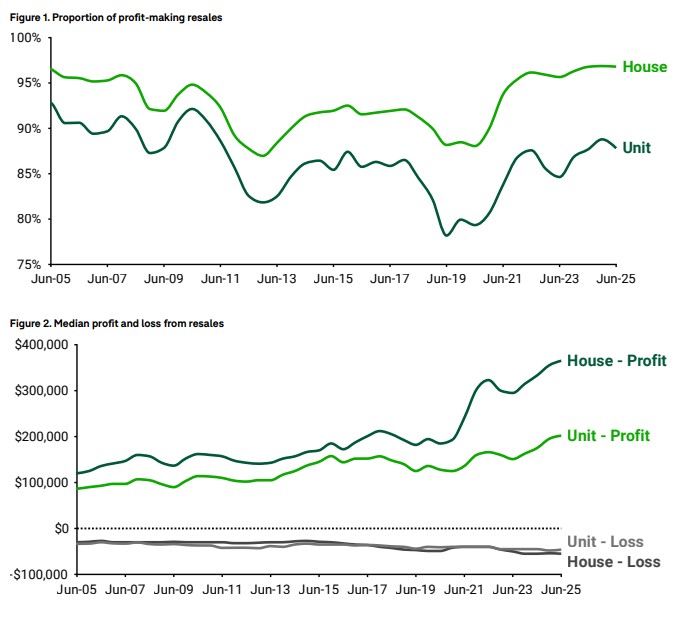 Domain-profit-making-resales-1H-2025.jpg