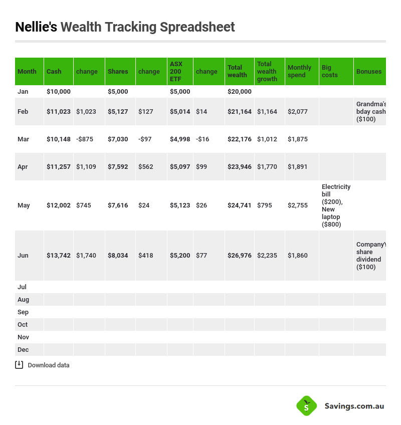 nellies-wealth-tracking